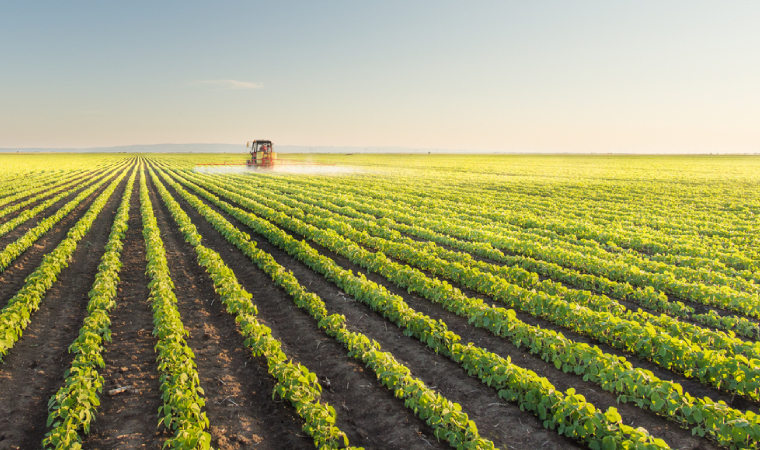 优化“走出去”布局，中国农企加速融入全球农产品供应链