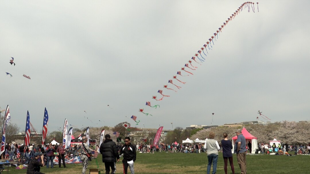 一年一度的华府风筝节，在春日和风中引来了大批民众参与